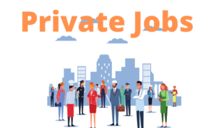 What Is a Private Job [top 5 best private jobs]