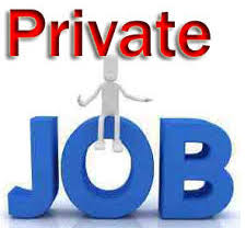 Private Jobs: Opportunities, Challenges, Development jobs [Top 5 best private jobs]