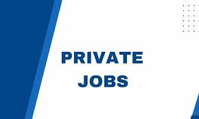 Private Jobs – Building a Successful Career in the Modern World[Top 5 best private jobs]